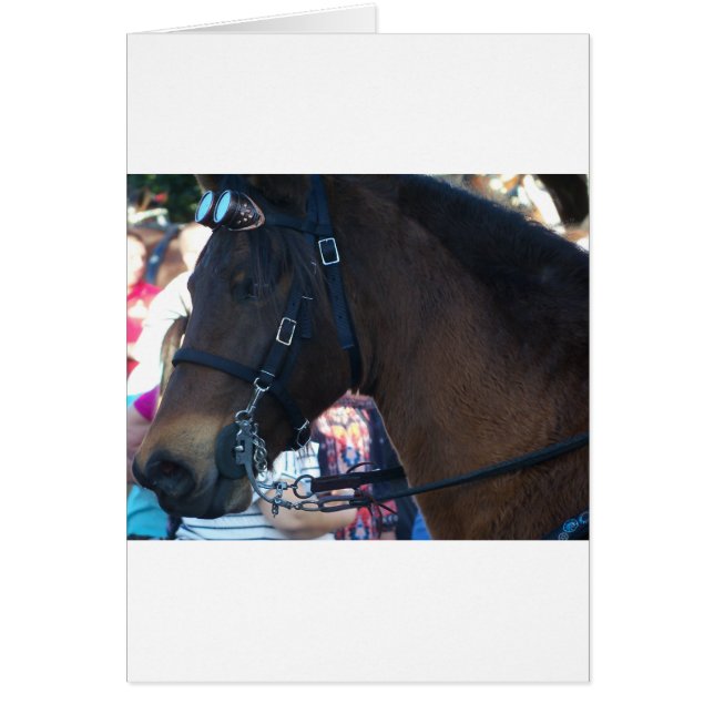 Caballo marrón oscuro que lleva gafas (Frente)