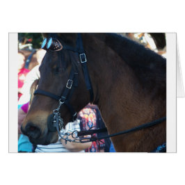 Caballo marrón oscuro que lleva gafas