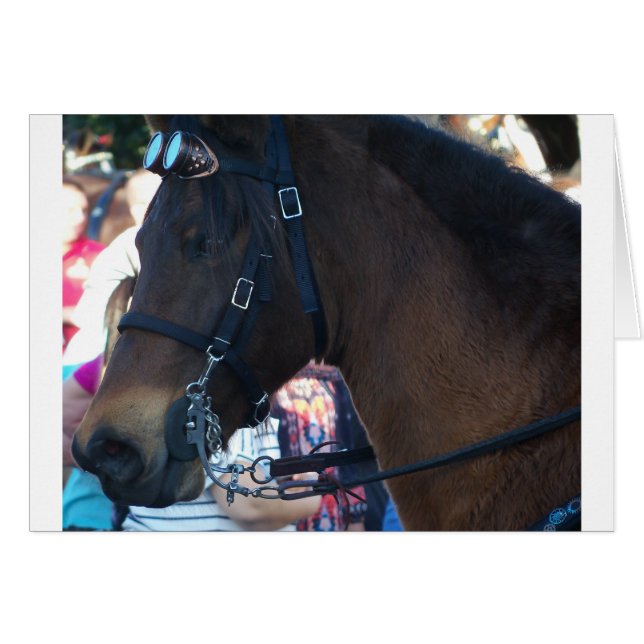Caballo marrón oscuro que lleva gafas (Anverso (Horizontal))