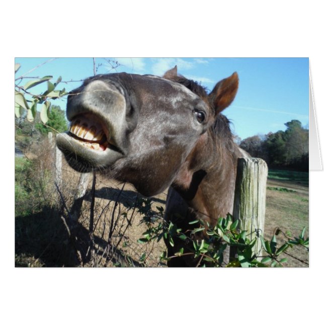 Caballo marrón parlante (Anverso (Horizontal))