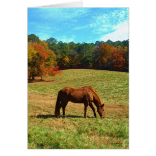 Caballo marrón rojo, cielo azul Verde azulado