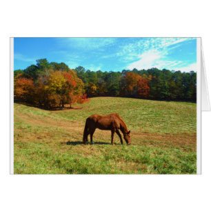 Caballo marrón rojo, cielo azul Verde azulado