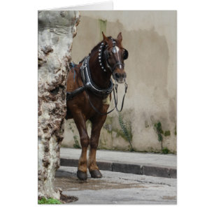 Caballo marrón, tarjeta de saludo interior en blan
