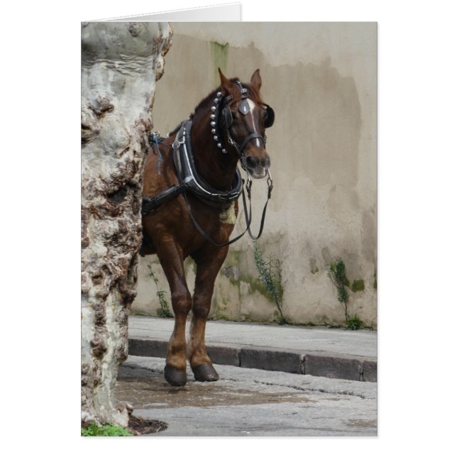Caballo marrón, tarjeta de saludo interior en blan (Frente)