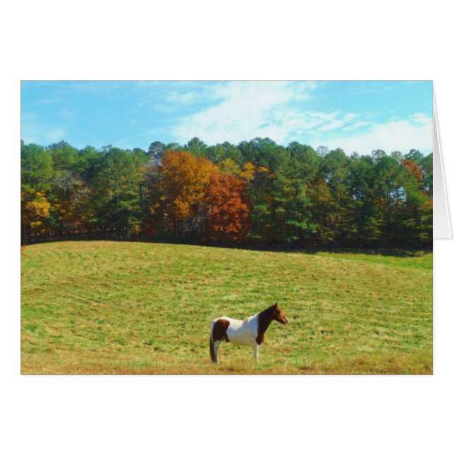 Caballo marrón y blanco, árboles de otoño, cielo a (Anverso (Horizontal))