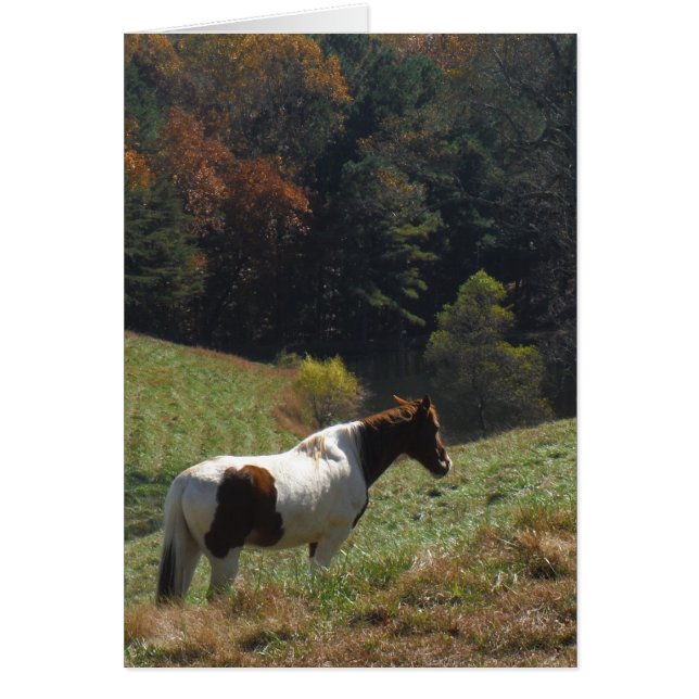 Caballo marrón y blanco en el estanque de otoño (Frente)