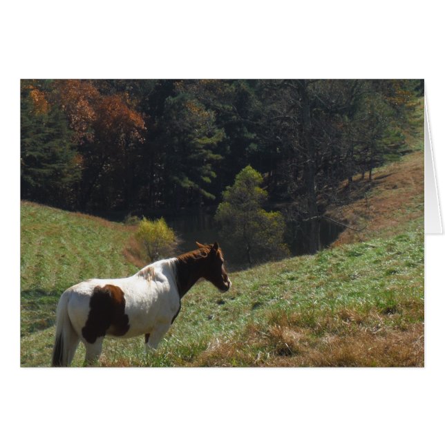 Caballo marrón y blanco en el estanque de otoño (Anverso (Horizontal))