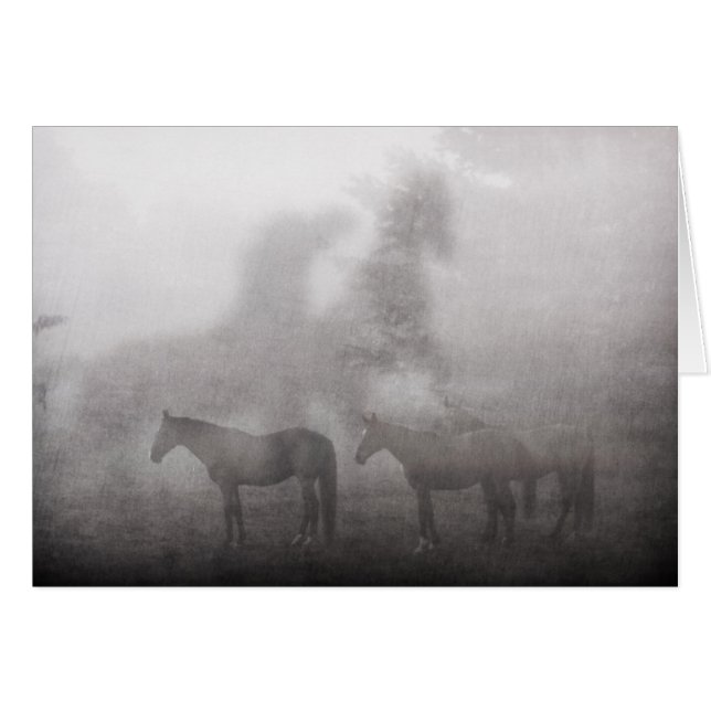 Caballo matutino de Foggy (Anverso (Horizontal))