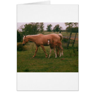 Caballo moma y caballo bebé