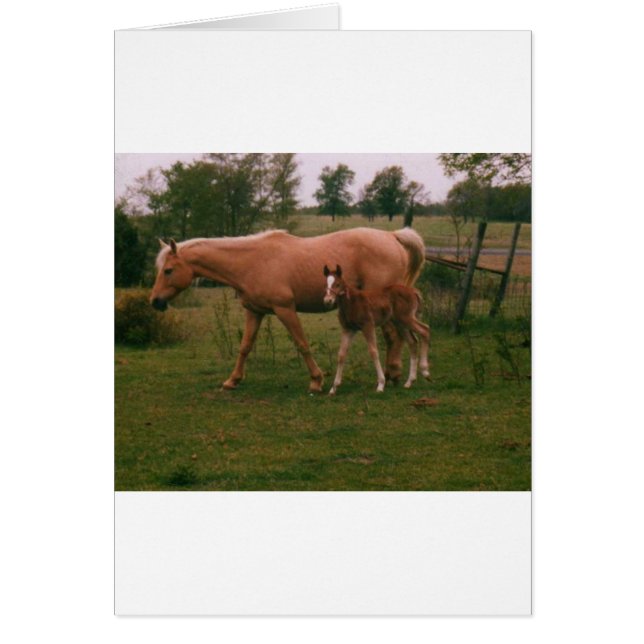 Caballo moma y caballo bebé (Frente)