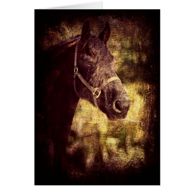 Caballo negro (Frente)