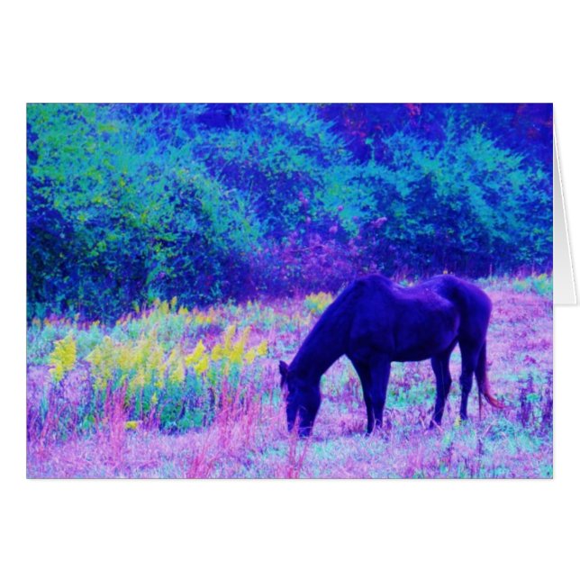 Caballo negro morado en campo arco iris (Anverso (Horizontal))