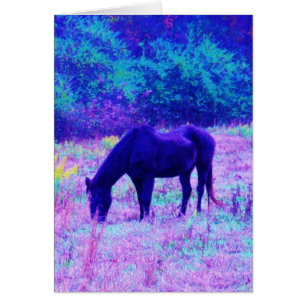 Caballo negro morado en campo arco iris