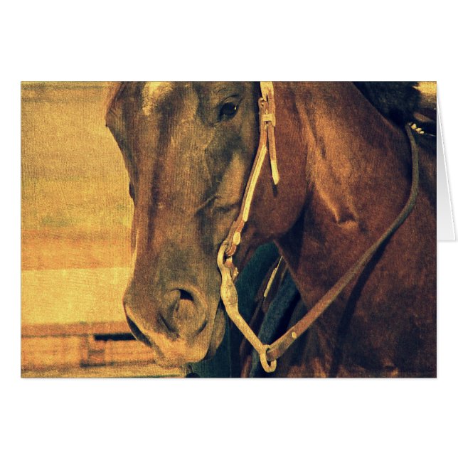 Caballo Occidental (Anverso (Horizontal))