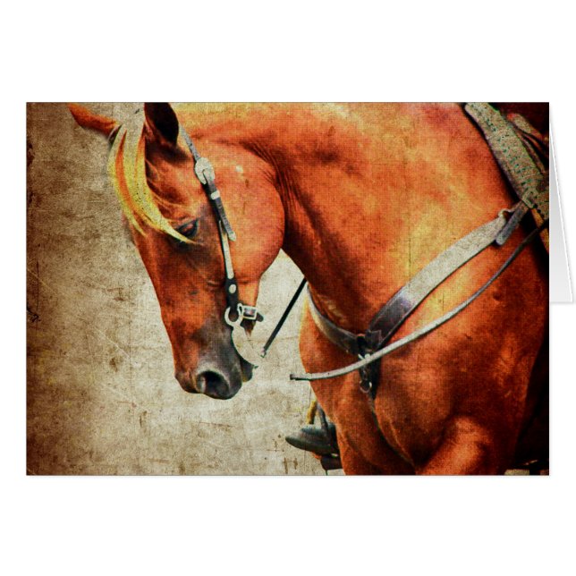 Caballo Occidental (Anverso (Horizontal))