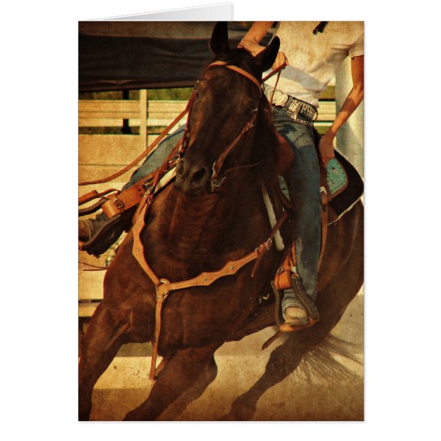 Caballo occidental de torneado (Frente)