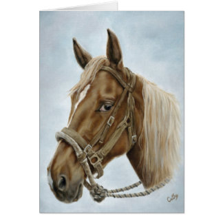 Caballo occidental de trabajo