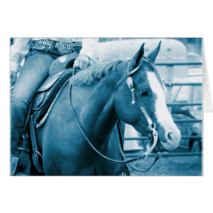 Caballo occidental en tonos azules