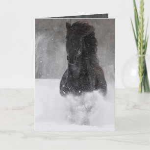 Caballo oscuro corre en la tarjeta de felicitación