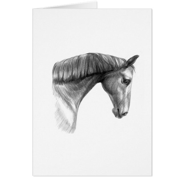 Caballo oscuro hermoso del vintage (Frente)