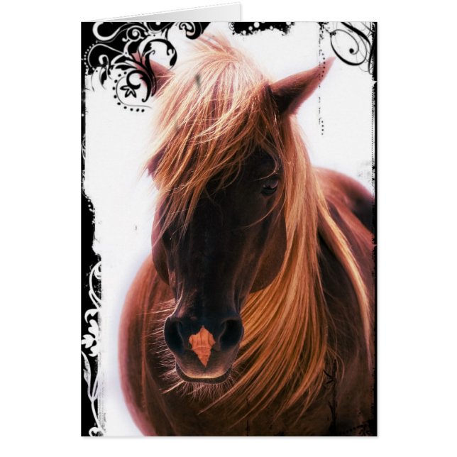 Caballo Palomino de Chocolate (Frente)