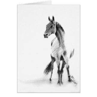 "Caballo permanente "