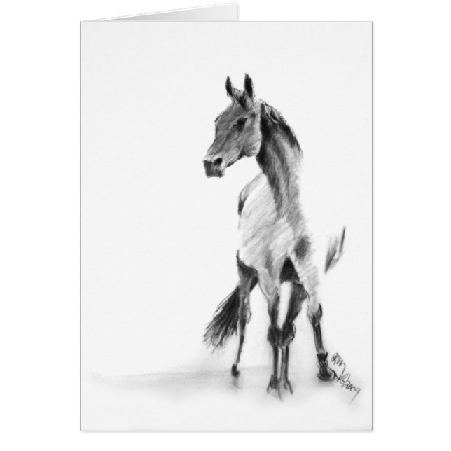 "Caballo permanente " (Frente)