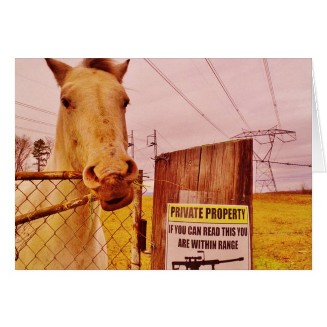 Caballo Pink Private Property (Anverso (Horizontal))