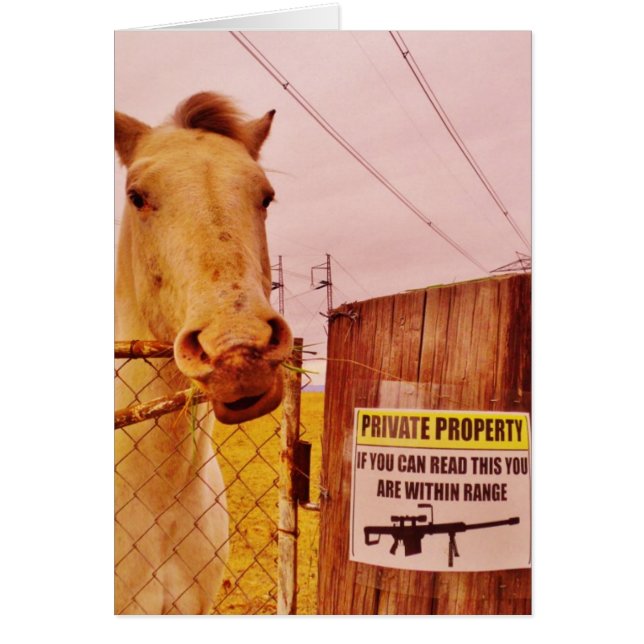Caballo Pink Private Property (Frente)