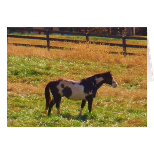 Caballo pintado a lo lejos (Anverso (Horizontal))