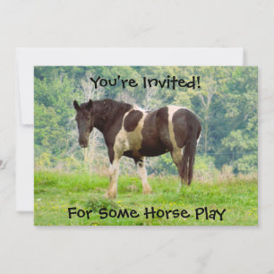 Caballo pintado estadounidense en una invitación a