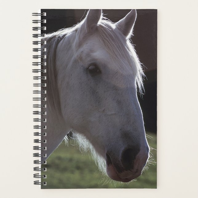 Caballo planificador Foto Equine White Horsehead (Anverso)