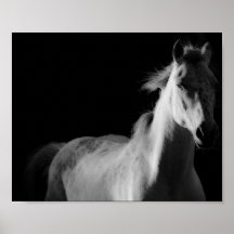 caballo, poster de fotografía de arte fino