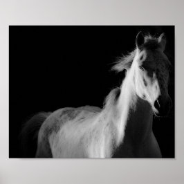 caballo, poster de fotografía de arte fino
