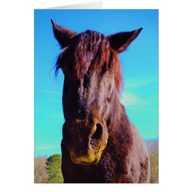 Caballo púrpura con boca verde (Frente)