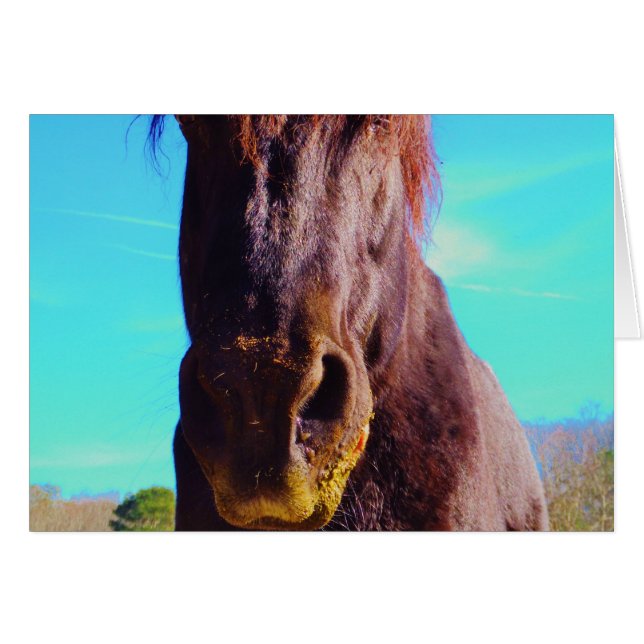 Caballo púrpura con boca verde (Anverso (Horizontal))