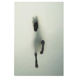 Caballo resbalando por la niebla - Arte abstracto