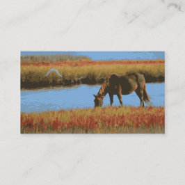 Caballo rústico del país que pasta tarjetas de