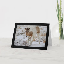 CABALLO SALVAJE DE LA TARJETA DE FELICITACIÓN DE