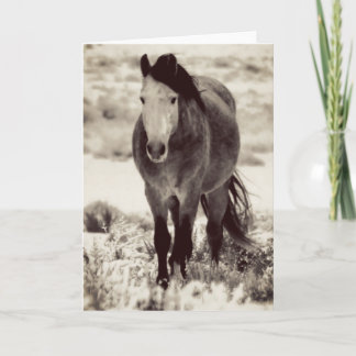 CABALLO SALVAJE DE LA Tarjeta de felicitación pleg