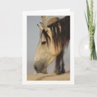 CABALLO SALVAJE DE LA TARJETA DE REUNIÓN DE UTAH