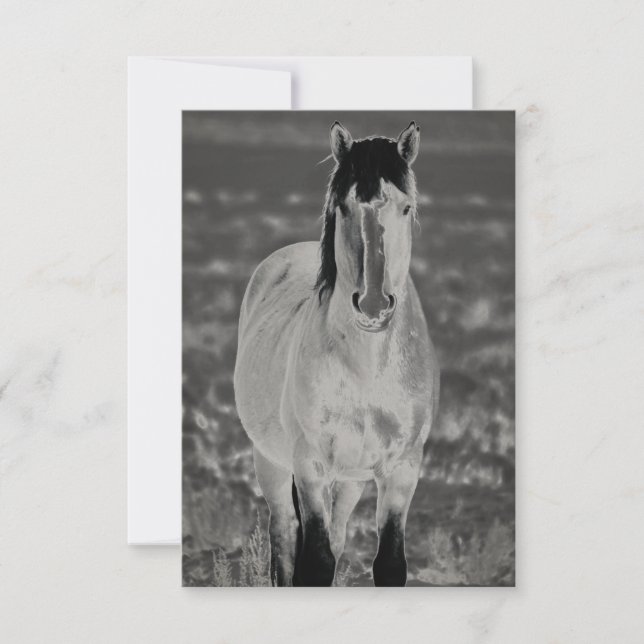 CABALLO SALVAJE DE LA Tarjeta Llanta De Saludo UTA (Anverso)