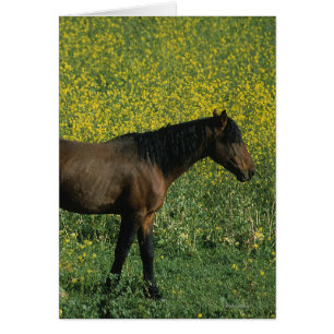 Caballo salvaje de Mustang de pie en flores