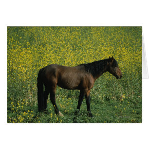 Caballo salvaje de Mustang de pie en flores