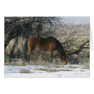Caballo salvaje de Mustang en la nieve 1