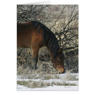 Caballo salvaje de Mustang en la nieve 1