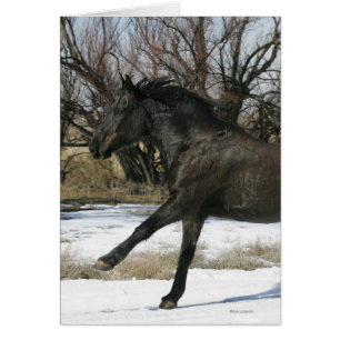 Caballo salvaje de Mustang en la nieve 2