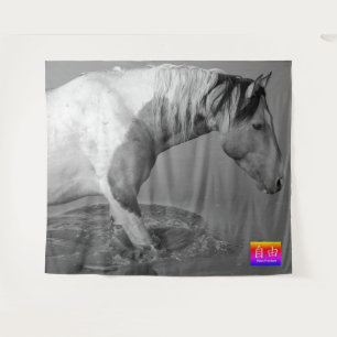 CABALLO SALVAJE DE UTAH PINTO EN EL Tapiz DE AGUA