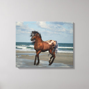 Caballo Salvaje En La Impresión De Los Canvas De P