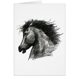 Caballo Salvaje Fiero